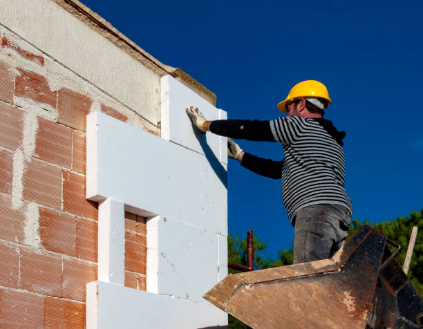 Best Affordable Insulation Services  in Grass Lake, MI