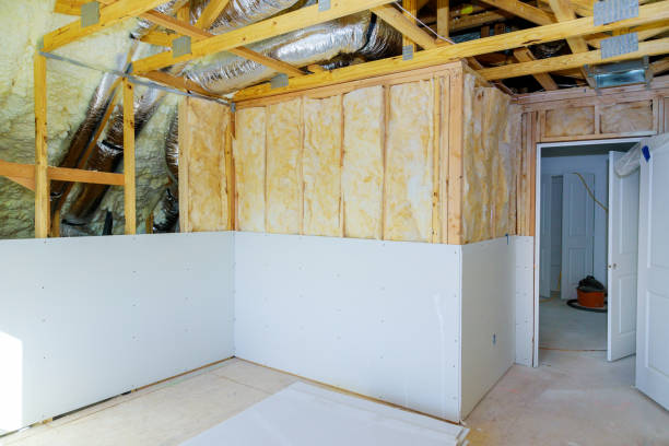 Best Insulation Contractor Near Me  in Grass Lake, MI