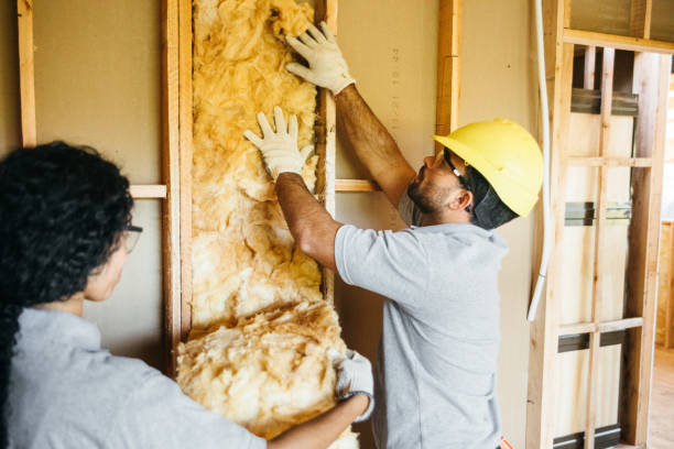 Best Crawl Space Insulation  in Grass Lake, MI